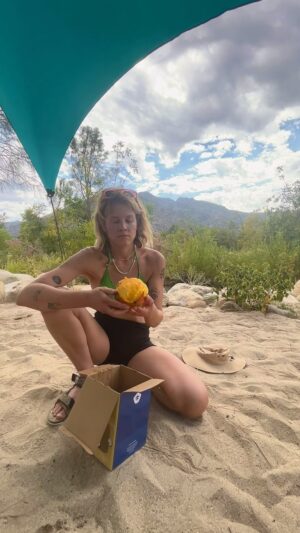 Sosie Bacon Instagram - @kevinbacon I know you love the criss cross cube method but have you ever tried “cutting” a mango like THIS?!?