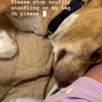 Sosie Bacon Instagram – If snape met my dog