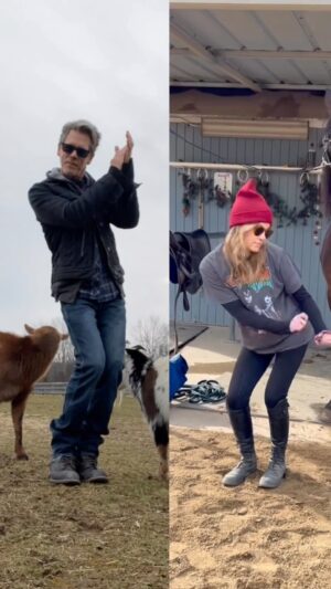 Sosie Bacon Instagram - Different barns, same vibes @sosiebacon