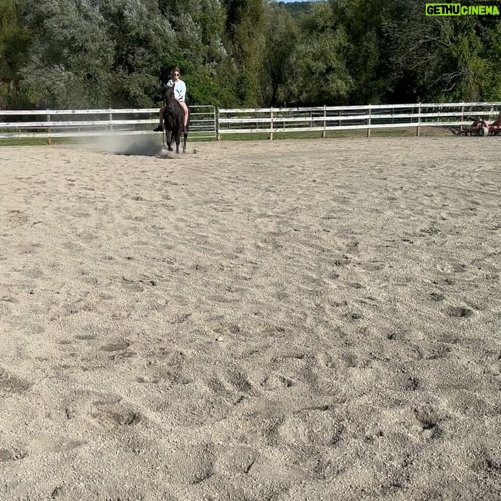 Sosie Bacon Instagram - Wear a helmet. Not just while riding horses but just always while walking around having fun and eating cake.