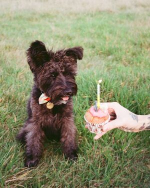 Stefanie Martini Instagram - Me and my small dog outside.