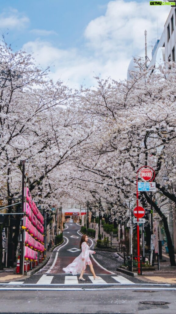 Stella Lee Instagram - My Spring Pilgrimage is to come back home to Japan for annual cherry blossom festival 🌸🌸🌸 In the last 10 years, Tokyo is my second home and I have explored all the top sakura spots in here. I even dedicated a list with GPS on SAKURA INSTAGRAM SPOTS on www.stellartravelguide.com - 100 Tokyo Spots 🇯🇵❤️ If you happen to be there, be sure to download the guide for easier coordination 😘✨