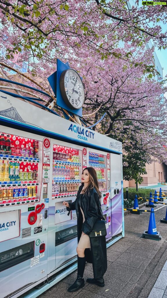 Stella Lee Instagram - Share this to your friend who comes to Japan in February / early March 🌸 For those of you who cant come on March and think you will skip Sakura, do you know that there are varieties of Sakura in Japan that blooms at different time? 🌸 Early visitor to Japan can visit Japan as early as late February, which is in 2 weeks, and Kawazu Sakura will bloom on certain areas in Japan 😍❤️ I talk about it deeper on my Japan Travel Guide www.stellartravelguide.com where you can see my Flower Calendar Guide from years of experience flower hunting in Japan! ✅