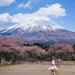 Stella Lee Instagram – Fujinomiya Photo Dump 🗻🇯🇵🌸 Which pic you like most?

How to visit Fujinomiya area =
✅ Take shinkansen from Tokyo to Shin Fuji station. Only 1 hour and costs around 5000 yen one way
✅ Rent a car or take local bus or take taxi to explore
✅ Stay at @ogawaso_official Ryokan for authentic local experience and onsen with Mount Fuji view
✅ Visit local areas such as @makainofarm_official , Fujisan Hongu Sengen Taisha, and @mt.fuji_ecotour 
✅ Check weather constantly. If it is cloudy, mount fuji might be covered by cloud. Higher chance to see it when it’s winter and sunny day! 

If you’re tired with the crowded Kawaguchiko, head to this city instead 👀 Thank you @yurisu13 for showing me your city ☺️💖 SAVE and SHARE this tips for future travel ✈️