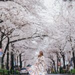 Stella Lee Instagram – UPDATE FOR JAPAN TRAVEL GUIDE!!! 🎉🎉🎉

Sekarang ada 2 bahasa khusus untuk Japan Travel Guide loh. Ratusan page mengenai jepang, dari segala budget, segala season, sampai setiap bulan harus ngapain aja sekarang ada dalam Bahasa Indonesia maupun Bahasa Inggris di www.stellartravelguide.com 🇯🇵🇯🇵🇯🇵