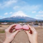 Stella Lee Instagram – Fujinomiya Photo Dump 🗻🇯🇵🌸 Which pic you like most?

How to visit Fujinomiya area =
✅ Take shinkansen from Tokyo to Shin Fuji station. Only 1 hour and costs around 5000 yen one way
✅ Rent a car or take local bus or take taxi to explore
✅ Stay at @ogawaso_official Ryokan for authentic local experience and onsen with Mount Fuji view
✅ Visit local areas such as @makainofarm_official , Fujisan Hongu Sengen Taisha, and @mt.fuji_ecotour 
✅ Check weather constantly. If it is cloudy, mount fuji might be covered by cloud. Higher chance to see it when it’s winter and sunny day! 

If you’re tired with the crowded Kawaguchiko, head to this city instead 👀 Thank you @yurisu13 for showing me your city ☺️💖 SAVE and SHARE this tips for future travel ✈️