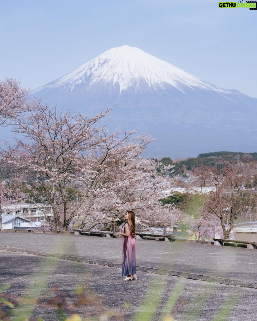 Stella Lee Instagram - Fujinomiya Photo Dump 🗻🇯🇵🌸 Which pic you like most? How to visit Fujinomiya area = ✅ Take shinkansen from Tokyo to Shin Fuji station. Only 1 hour and costs around 5000 yen one way ✅ Rent a car or take local bus or take taxi to explore ✅ Stay at @ogawaso_official Ryokan for authentic local experience and onsen with Mount Fuji view ✅ Visit local areas such as @makainofarm_official , Fujisan Hongu Sengen Taisha, and @mt.fuji_ecotour ✅ Check weather constantly. If it is cloudy, mount fuji might be covered by cloud. Higher chance to see it when it’s winter and sunny day! If you’re tired with the crowded Kawaguchiko, head to this city instead 👀 Thank you @yurisu13 for showing me your city ☺️💖 SAVE and SHARE this tips for future travel ✈️