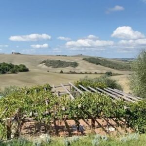 Stephanie Bennett Instagram - Will forever be dreaming of Tuscany 
🍷🧀🥖🍇🌿