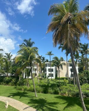 Stephanie De Lander Instagram - ☀️ 💦 🐈 🌴 🦎 🏄‍♀️ 🥰 🦚