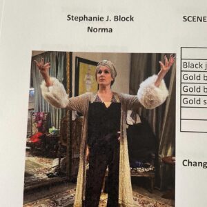 Stephanie J. Block Instagram - I woke up in London to a slew of messages and I am so delighted, surprised and overwhelmed by this acknowledgement. Truly. SUNSET BLVD at The Kennedy Center was an absolute gift… a thrilling, panic-inducing, trust testing, remarkable and fulfilling experience. Thank you to the Helen Hayes Award committee and to our passionate producer-THE @jeffreyfinn, to our wildly smart and dedicated director- @sammi.cannold, to my friend and forever musical director- @backeys and to our incredible choreographer- @emilymaltby. And a huge thank you to @alejo_vietti_costume_design, @corypattak, @ptdepoo and the entire design team who created such beauty & drama. To @derek_klena… you are beyond that of a star. You are a gentleman, a partner, a family man, a real dream of a person. To @nathangunn1, thank you for being an incredible support and incredible voice to share this story with. You brought depth to every note and scene. To the entire beautiful company & crew… only we will know how this magic was made. You are all so inspiring. I am thankful!  Professional photos by: 📸@jeremydanielphoto @jennyandersonphoto