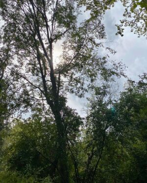 Stéphanie Pareja Instagram - Balade et surprise de la nature. Merci. 🍂🍀☘️🌱