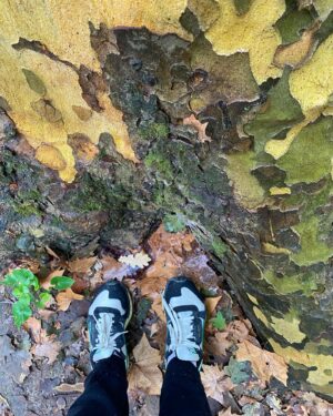 Stéphanie Pareja Instagram - Balade et surprise de la nature. Merci. 🍂🍀☘️🌱