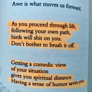 Stephanie Szostak Instagram - A favorite. Reflections on the Art of Living by #josephcampbell