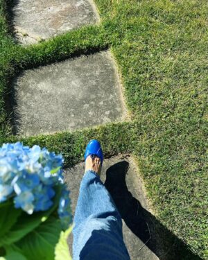 Stephanie Szostak Instagram - Hydrangeas popping everywhere