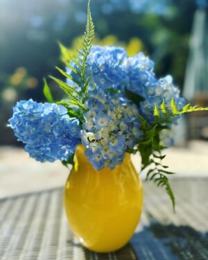 Stephanie Szostak Instagram - Hydrangeas popping everywhere