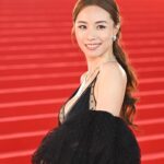 Stephy Tang Lai-Yan Instagram - On the red carpet ❤️ 非常感謝品牌的贊助✨ 還有我整個團隊的幫忙 讓我可以美美走在紅地氈上😊 Thank you😘 Wardrobe : @stellamccartney Heels: @giuseppezanotti Jewellery: @bulgari Make Up : Cyrus Lee @cyruslee_bridal_makeup Hair: @myos_ritzlam Styling: @queenie_yu #hongkongfilmawards