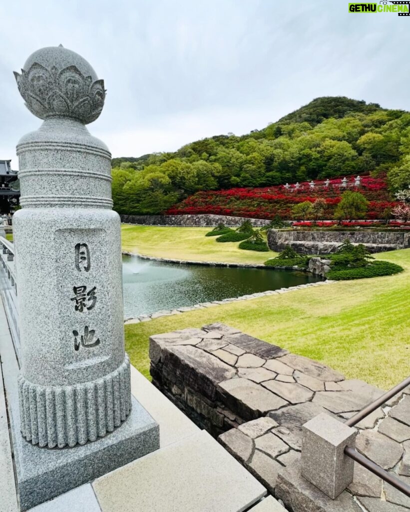 Stephy Tang Lai-Yan Instagram - 是時候放下假 快閃了日本幾日 參拜了幾間寺廟 清淨了心靈 滿足了肚子 回來 然後 再準備下個旅程😎 #休息是為了走更遠的路 #放假 #旅行 #充電 #我食左好多野 #尤其係雪糕