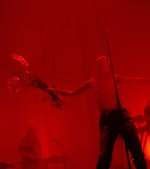 Stien den Hollander Instagram - Afas Live ik kan het nog steeds niet geloven ❤️‍🩹☄️❤️‍🔥❣️ dank aan iedereen die er bij was ⭐️ fotos door @tristanfopma en @marcbymarc