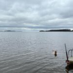 Stina Wollter Instagram - Tack Nyköping! Vilken fin kväll vi fick. Den bär jag med mig. Idag på vägen hem stannade vi till vid strandstuviken så att jag skulle få bada. Jag skrämde kanske 20 svanar som blev lite oroliga en bit ut när jag vid bad nummer två vrålade ut det som behövde vrålas ut. Sen andades jag, klappade mig och klädde på mig och så åkte vi hem och nu kokas det Putanesca. Foto @olsmick