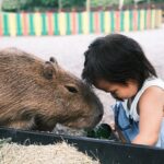 Suan Wang Instagram - 堪稱最愛最喜歡動物的一家人～ 以後老了的願望是開一個開心農場。 @bambiland.yilan 這裡真的有愛， 我們感受的到。