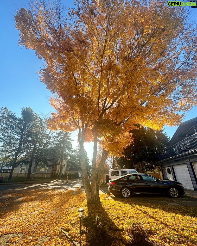 Sukhmani Sadana Instagram - First trip to Canada, First pic clicked. Calls for a Maple Post 🍁 #sadanahome #family #canada