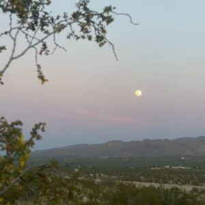 Sulem Calderon Instagram - We all go through phases… 
Just like the moon…
🌕🌖🌗🌘🌑🌒🌓🌔