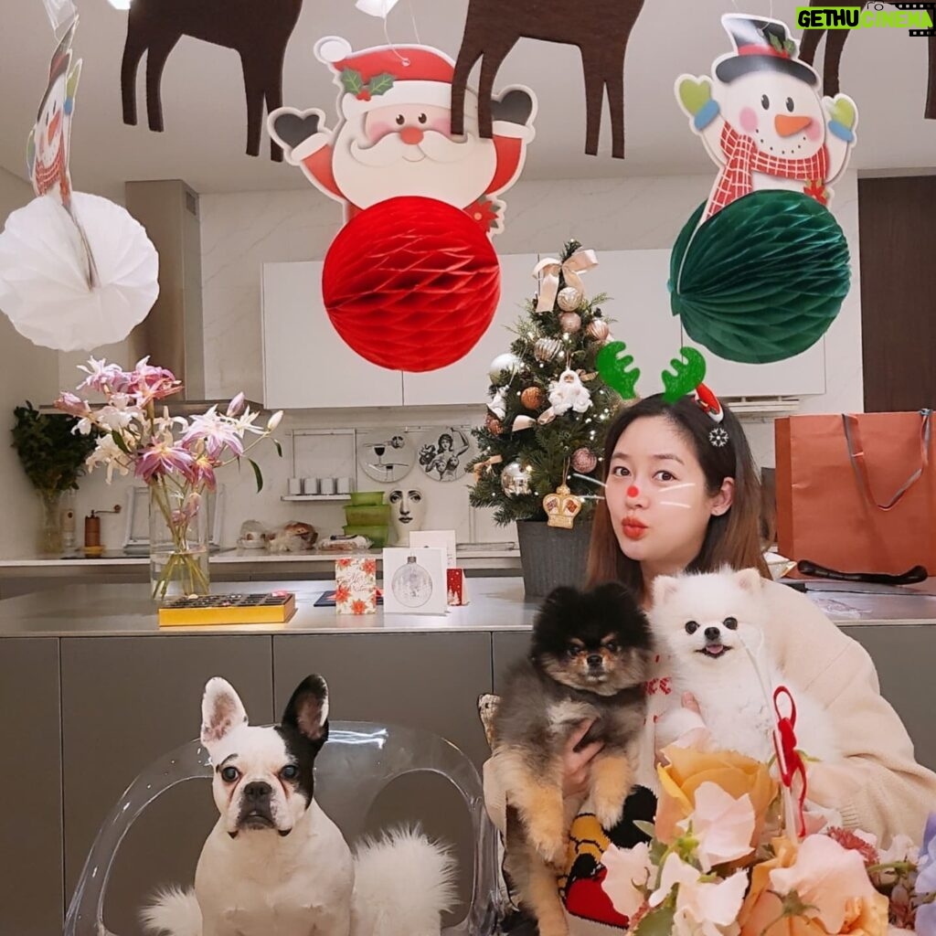 Sung Yu-ri Instagram - 집콕 크리스마스파뤼🌲 모두 행복한 성탄절 보내세요🎅