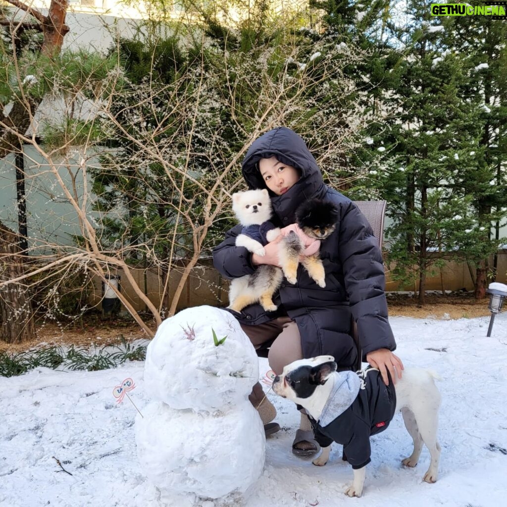 Sung Yu-ri Instagram - ☃️🐷🐵🐰