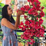 Sunitha Srinivasan Instagram - 🩵💙🩵💙