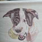 Supriya Pilgaonkar Instagram – Capturing the essence of my dearest Jack in every brushstroke. A personalized handmade ceramic food bowl for Jack – where nourishment meets creativity. 🐾

.
.
.
.
#pet #dogsofinstagram #dog #lovedogs #jack #bowl #handmade #handmadeceramics #pottery #potterystudio #clay #instaart #instaartist #potrait #portraitpainting #painting