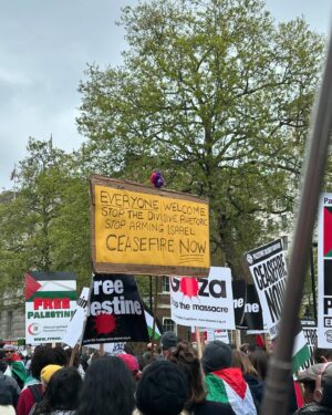 Susan Wokoma Instagram - I don’t want to march anymore. 

I don’t want to say ‘see you at the next one’ to my friends, knowing that’ll probably be true.

I’d rather no more dead babies. 

This is insanity(racism). 

#CeasefireNow 🇵🇸
