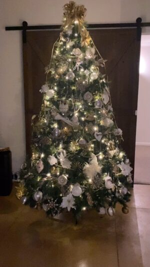 Suzanne Paul Instagram - Christmas Tree is up- no presents under it yet 🎄🎅🏽