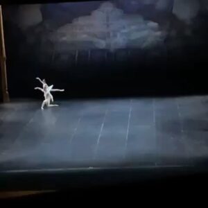 Svetlana Zakharova Instagram - #Repost @svetlana.zakharova_fans
・・・
Unreleased video of the awesome @svetlana_zakharova_official and @jacopotissi performing Bayadere at @teatroallascala (27/01/22). 2/4 

*
*
*
*