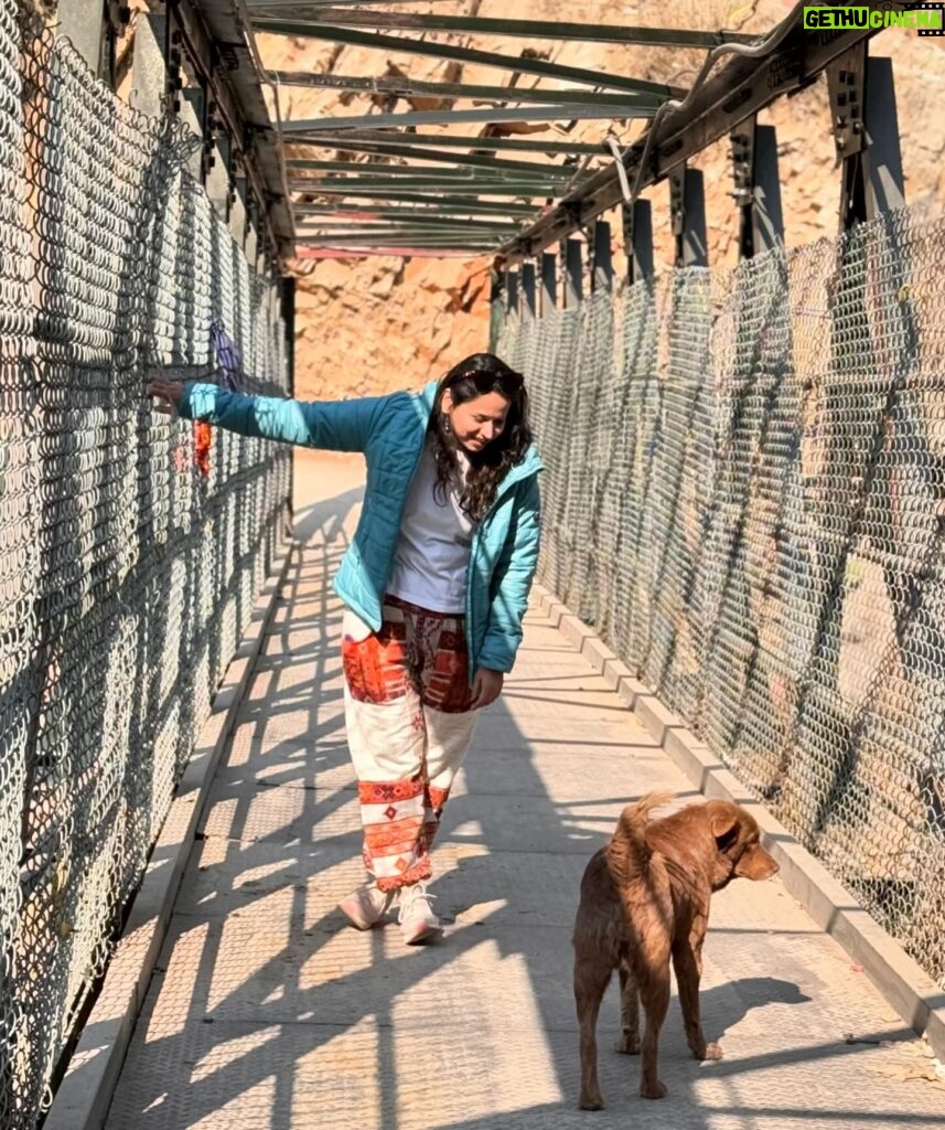 Swanandi Tikekar Instagram - Travel companions made this trip even special!! ❤️ #travel #pahadi #dogs #friends #companion #love #swananditikekar