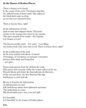 Sydney Chandler Instagram - a few of my poems // 2 old, 2 new