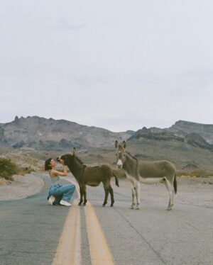 Sydney Chandler Instagram - say yes to a road trip. pass through oatman. encounter wild donkeys. believe you know how to focus a camera. carry on through the night hills. destination unknown.