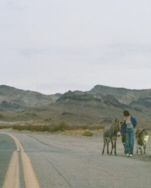 Sydney Chandler Instagram - say yes to a road trip. pass through oatman. encounter wild donkeys. believe you know how to focus a camera. carry on through the night hills. destination unknown.