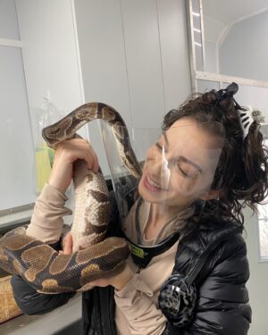 Sydney Ozerov-Meyer Instagram - Set snakes should be much more common than they are. 🐍