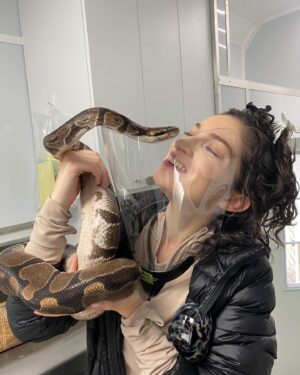 Sydney Ozerov-Meyer Instagram - Set snakes should be much more common than they are. 🐍