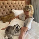 Sylvana IJsselmuiden Instagram - Iets met 7 vermiste wasberen in Leeuwarden? Hij kan hier mooi de was doen!