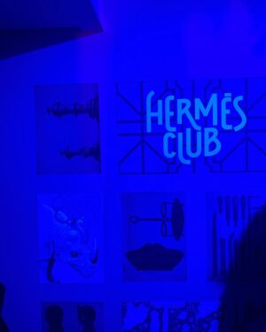 Sylvia Hoeks Instagram - Merci @hermes
✨ #nadegevanheecybulski ✨

#pfw 
#hermes
#springsummer2024
#hermesfemme
