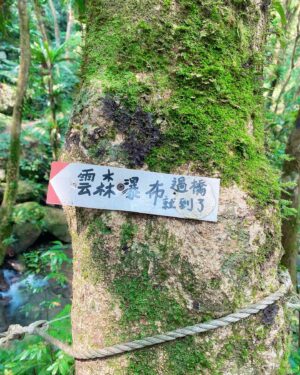 Sylvia Hsieh Instagram - 說爬就爬 ⛰️ 
自在舒服的和諧共處
享受大自然的魅力
聆聽蟲鳴鳥叫瀑布的流水聲
浮躁的心也平靜了
謝謝大自然帶給我們的美好🥰

#雲森瀑布 #三峽
