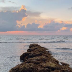 Sylvia Kim Instagram - “Got no checkbooks, got no banks, still I’d like to express my thanks. I got the sun in the morning and the moon at night.” – Irving Berlin #launion #friends
