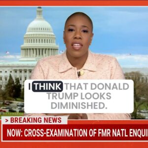 Symone Sanders Instagram - The courtroom isn’t helping Trump. He looks diminished. Just like Wizard of Oz - behind the curtain is just a man.
