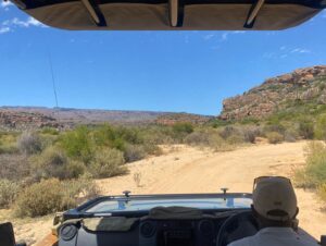 Synnøve Karlsen Instagram - Thank you @bushmanskloof still not quite sure if we dreamt it. 🐆