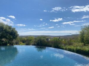 Synnøve Karlsen Instagram - Thank you @bushmanskloof still not quite sure if we dreamt it. 🐆
