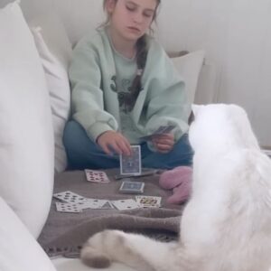 Synnøve Skarbø Instagram - Siden sist.