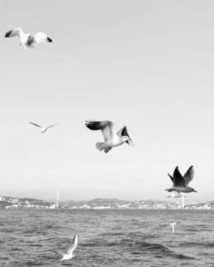 Tülin Yazkan Instagram - for a new adventure! 🕊