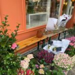 Tülin Yazkan Instagram - Fleurs, fruits frais, antiquités et bonheur! 😍🌷