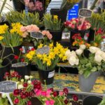 Tülin Yazkan Instagram - Fleurs, fruits frais, antiquités et bonheur! 😍🌷